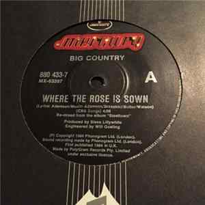 Big Country - Where The Rose Is Sown FLAC album