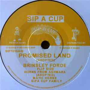 Brinsley Forde / Matic Horns, Sipa Cup Family - Promised Land / Horns From Ashmara FLAC album