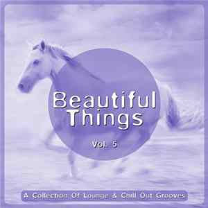 Various - Beautiful Things Vol. 5 (A Collection Of Lounge & Chill Out Grooves) FLAC album