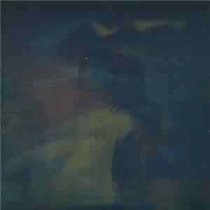 JMSN - Love & Pain FLAC album