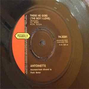 Antoinette - There He Goes (The Boy I Love) FLAC album