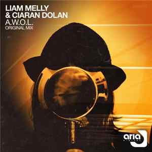 Liam Melly & Ciaran Dolan - A.W.O.L. FLAC album