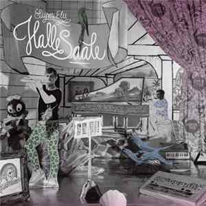 Super Flu - Halle Saale FLAC album