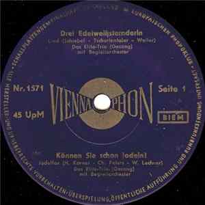 Das Elite-Trio / Die Geschwister Gaisberger - Drei Edelweißsternderln / Können Sie Schon Jodeln? / Gib Mir Den Schlüssel Zu Deinem Herzen / Mein Herz Hat Kein Fenster FLAC album