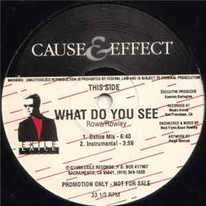 Cause & Effect - What Do You See FLAC album