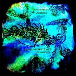 Various - Aquathrum Elegies FLAC album