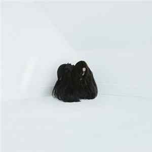 Chelsea Wolfe - Hiss Spun FLAC album