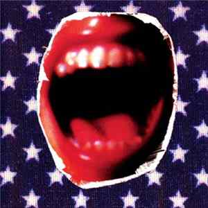 Ministry - Rantology FLAC album