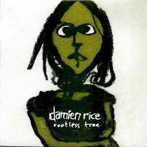 Damien Rice - Rootless Tree FLAC album