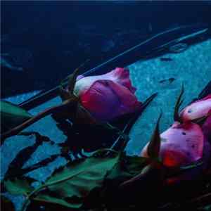 Skeleton Hands - Wake FLAC album
