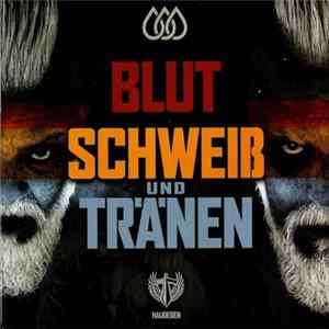 Haudegen - Blut Schweiß Und Tränen FLAC album