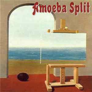 Amoeba Split - Amoeba Split FLAC album