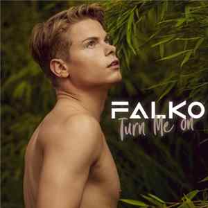 Falko De Bolster - Turn Me On FLAC album
