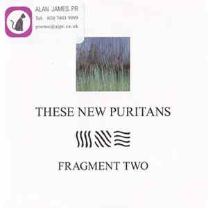 These New Puritans - Fragment Two FLAC album