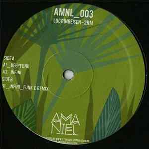Luc Ringeisen - 2RM FLAC album