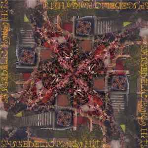 Various - Spugedelic Psyksy Hits FLAC album