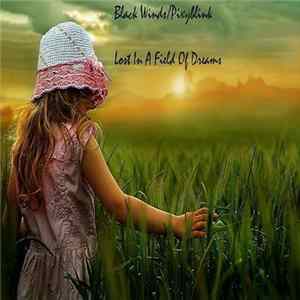 Black Winds / Pixyblink - Lost In A Field Of Dreams FLAC album