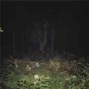 Anders Vestergaard , Finn Loxbo - I'm Fine With The Swirling Colors FLAC album