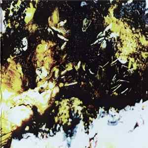 Gnaw Their Tongues / Lunar Miasma / Mrtyu / Xela - Split FLAC album
