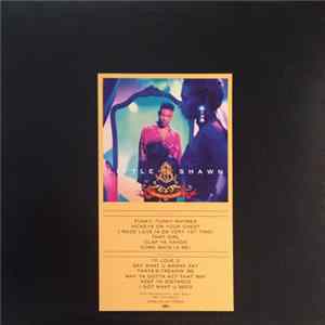 Little Shawn - The Voice In The Mirror FLAC album