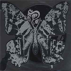 The Rasmus - Live In Mexico City FLAC album