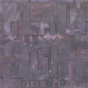 Museum Pieces - Plain Sight FLAC album