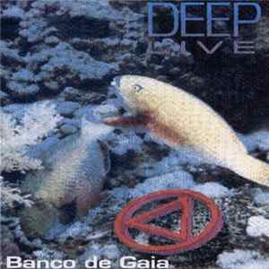 Banco De Gaia - Deep Live FLAC album