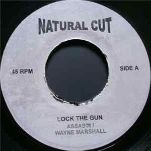 Assasin / Wayne Marshall - Lock The Gun FLAC album