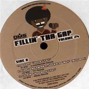Various - Fillin' Tha Gap Volume 24 FLAC album