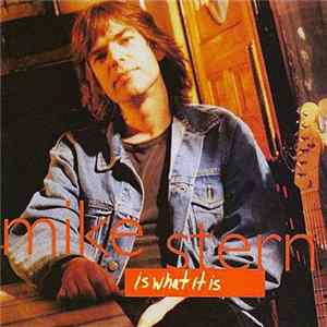 Mike Stern - Is What It Is FLAC album