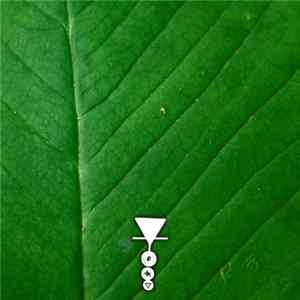 Phyllomedusa - Let Me Hang FLAC album
