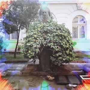 Selvhenter - Frk. B. Fricka FLAC album