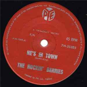 The Rockin' Berries - He's In Town FLAC album