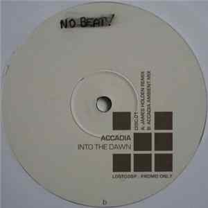 Accadia - Into The Dawn FLAC album