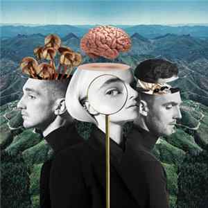 Clean Bandit - What Is Love FLAC album