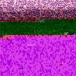 The Alexir - Popcorn Ep FLAC album
