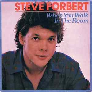 Steve Forbert - When You Walk In The Room FLAC album