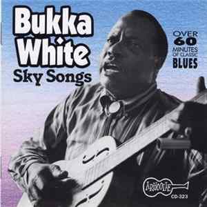 Bukka White - Sky Songs FLAC album