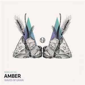 Amber - Waves Of Grain (Hobo's Hidden Resort Remix) FLAC album