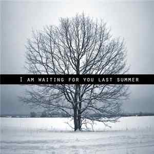 I Am Waiting For You Last Summer - I Am Waiting For You Last Summer FLAC album