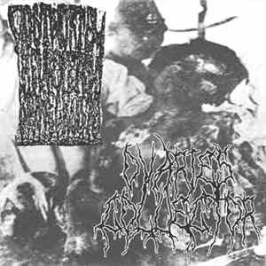 Postmortem Neurofetish Bionecrosis / Ovaries Collector - Split FLAC album