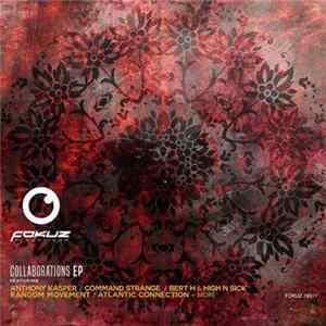 Various - Collaborations EP FLAC album