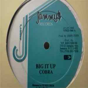 Cobra, Culture T - Big It Up FLAC album