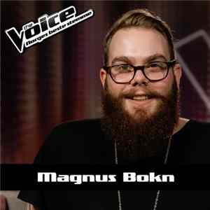 Magnus Bokn - Girls Just Want To Have Fun FLAC album