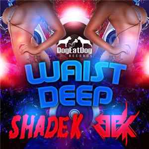 Shade K & BBK - Waist Deep FLAC album